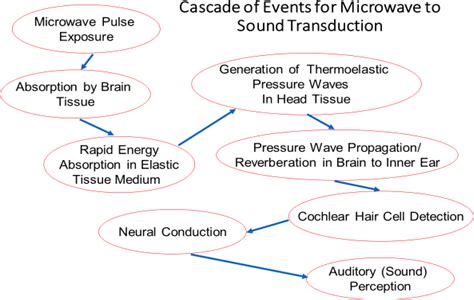 The microwave auditory effect, also known as the microwave. . Communicating via the microwave auditory effect